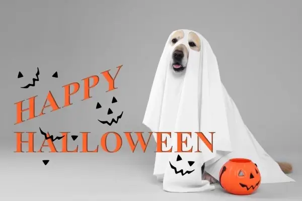 Happy Halloween from First Choice Mortgage Co.